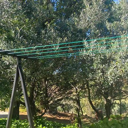 Petit Coin De Paradis En Provence Aups Esterno foto